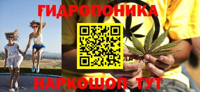 спиды Дубна