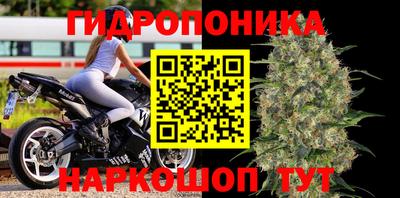 спиды Дубна