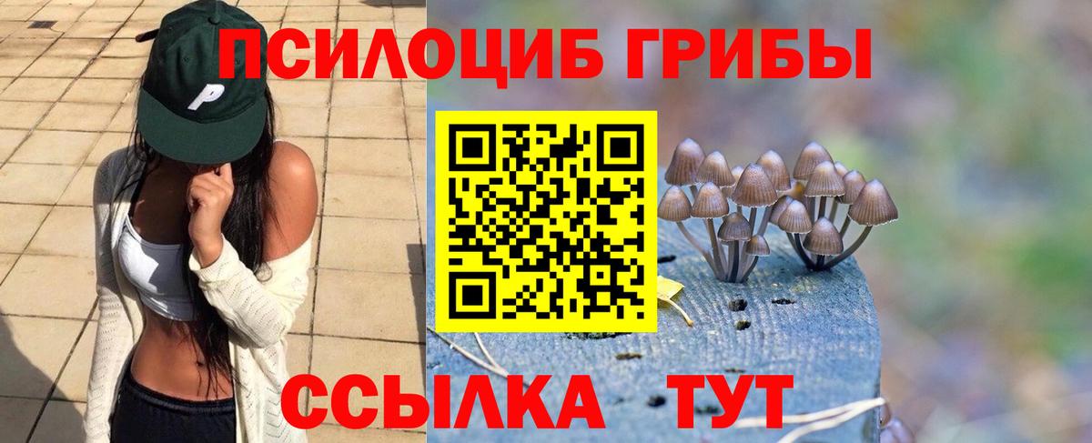 Менделеевск  Псилоцибиновые грибы Cubensis  Вход с VPN  Галлюциногенные грибы GOLDEN TEACHER 