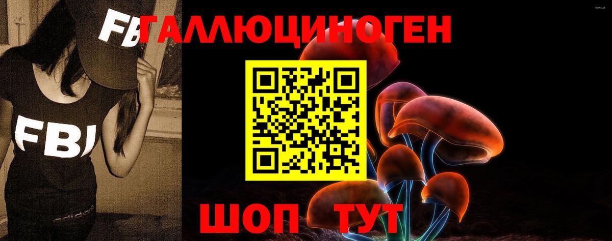Псилоцибиновые грибы ЛСД Менделеевск
